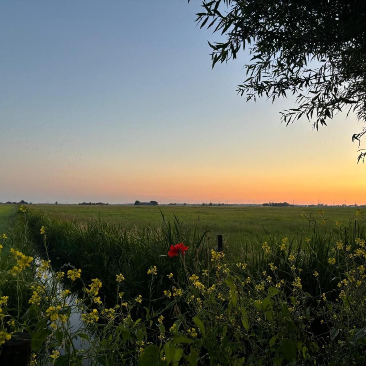 Bed and Breakfast Aan De Hoge Weg Kamperveen Exterior foto
